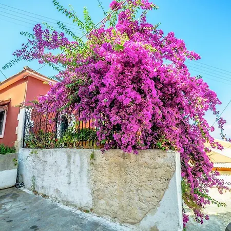 Menecrates Rustic - San Matteo *