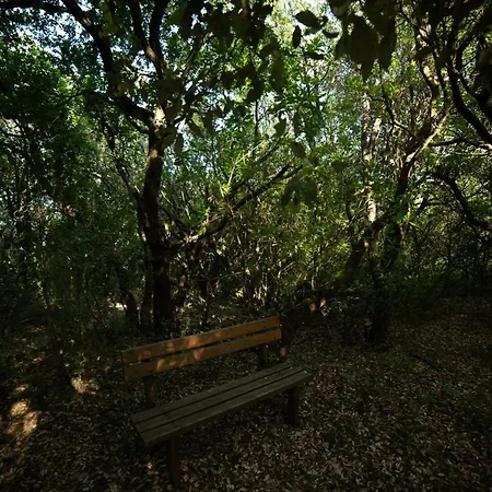 Menecrates Rustic - San Matteo 公寓 Ágios Matthaíos