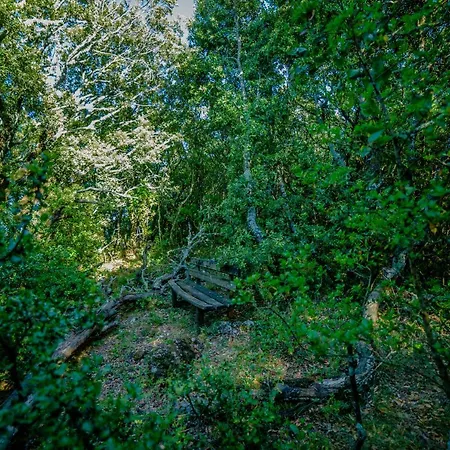 Menecrates Rustic - San Matteo Ágios Matthaíos