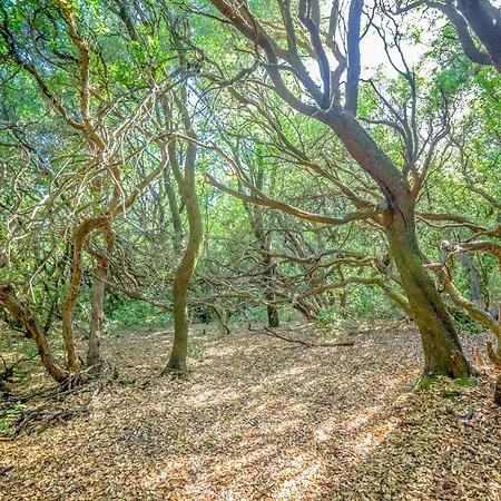 公寓 Menecrates Rustic - San Matteo *